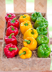 Bell pepper in wooden box