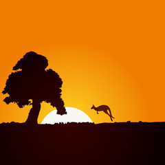 Africa, tree kangaroo, sun
