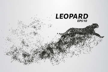 Fototapeta na wymiar Leopard of particles. The leopard consists of circles and points. Vector illustration.