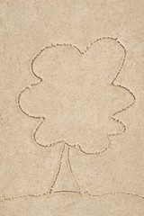tree drawing in sand