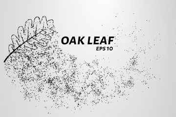 Fototapeta na wymiar The oak leaf of the particles. The oak leaf is composed of circles and dots. Vector illustration.