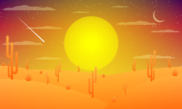 Desert with cacti at sunset