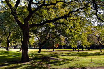 Great parks at Palermo in Buenos Aires