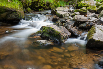 Ravennaschlucht Black Forest Schwarzwald
