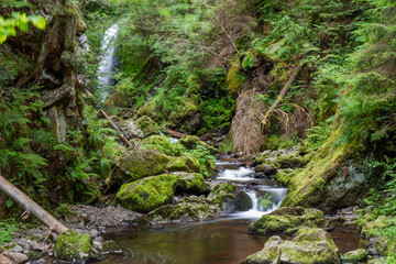 Ravennaschlucht Black Forest Schwarzwald