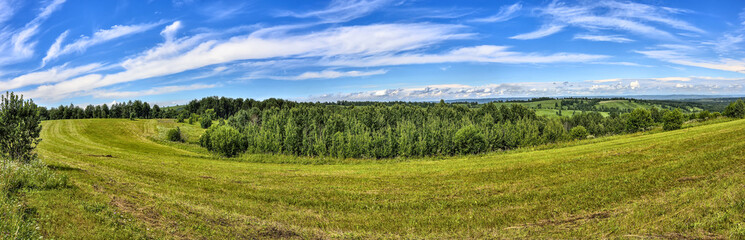 Bright summer rural landscape panorama