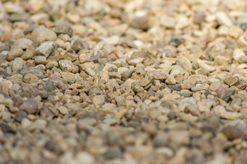 background of small stones texture