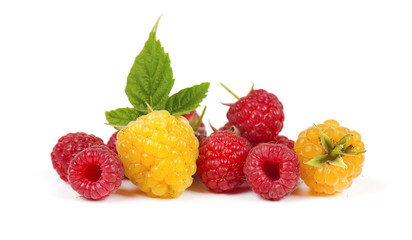 Yellow and red of ripe raspberries, isolated on white background