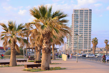 TEL AVIV, ISRAEL- APRIL, 2017: Herbert Samuel st. bike track and walking area for pedestrians in the center of Tel Aviv