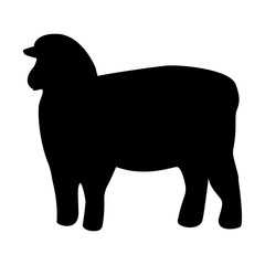 Sheep silhouette black icon .
