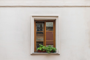 Obraz na płótnie Canvas Window decorated flowerpot
