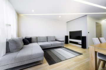 Modern, stylish living room
