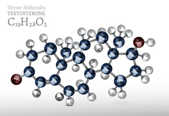 Testosterone Molecule Image
