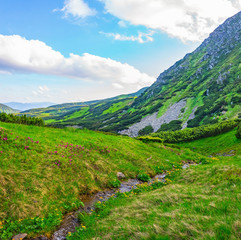 Fototapeta na wymiar mountain stream flowing through a beautiful mountain valley in summer day