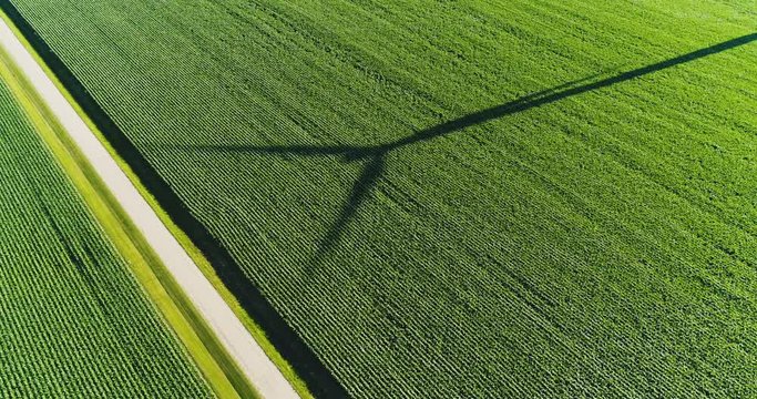 Rural countryside road and wind turbine shadow on green corn field, aerial view