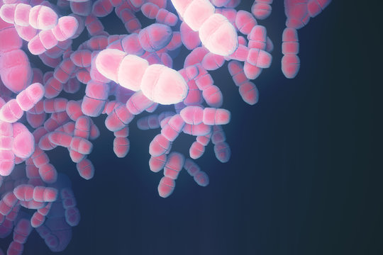 Pink bacteria backdrop