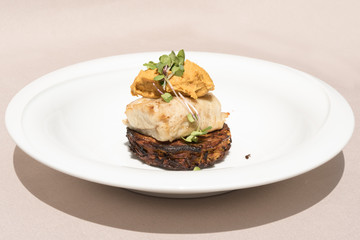 Delicious white fish served on fried zuchini, with sweet potato mash and purple sauce, white plate,  light brown background