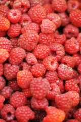 Bright ripe raspberry