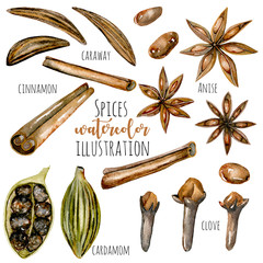 Set of watercolor spices (cinnamon, anise, caraway, cardamom and cloves), hand drawn isolated on a white background - obrazy, fototapety, plakaty