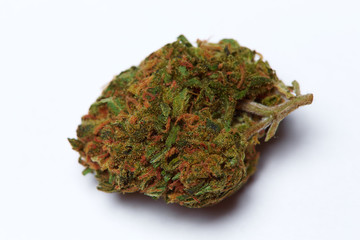 Close up of medical marijuana flower Durban Poison strain on white background