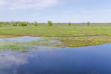 Valley river in reserve
