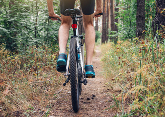 Young bicyclist riding in the forest