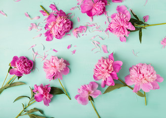 Peonies. Pink peonies on a turquoise background. Copyspace. Flower photo concept
