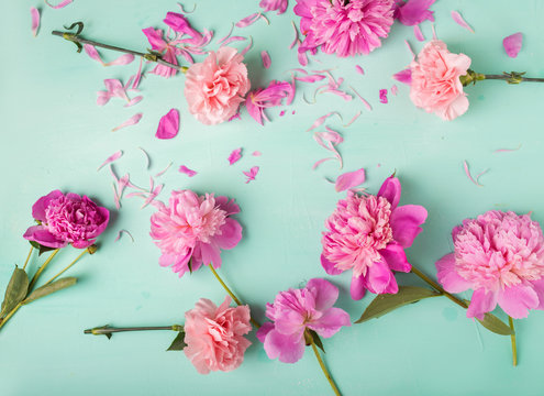 Fototapeta Pink carnations. Flowers. Peonies. Pink peonies on a green  background. Copyspace. Flower photo concept