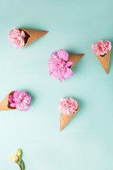Pink carnations on a blue background. Flowers. Copyspace. Flower photo concept. Flowers in waffle cones, Peonies on a green background. Peonies