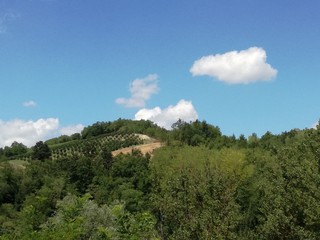 La bellezza della natura