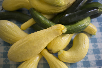 Yellow squash, zucchini and cucumber on farm house table after harvest 