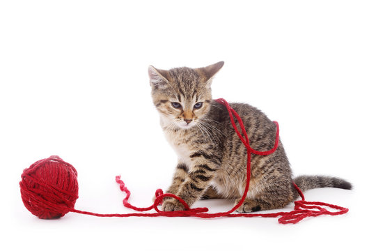 chaton tigré jouant avec une pelote de laine rouge