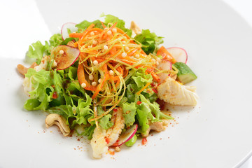 Warm salad with squid, vegetables with grape sauce. White background, menu concept.