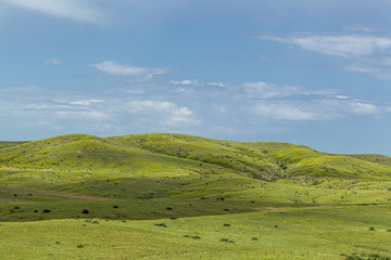 Fototapeta na wymiar Rolling hills in Montana.