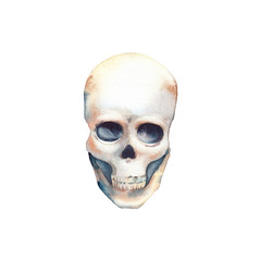 Watercolor skull. Hand drawn design element isolated on white background. Halloween illustration