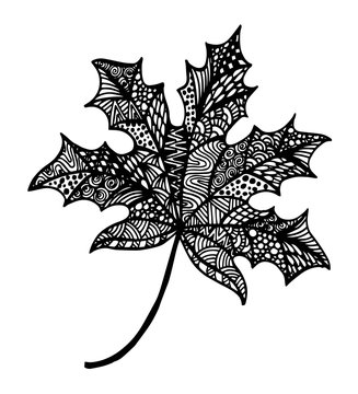 Vector of hand draw maple leaf in zentangle style