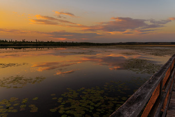 Sonnenuntergang Federsee Bad Buchau