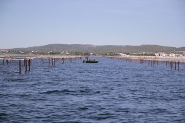 Etang de Thau