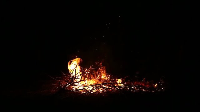 Bonfire. Night fire burns. Nearby warm, cozy and light

