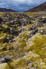 Berserkjahraun lava field in Snaefellsnes peninsula, Iceland