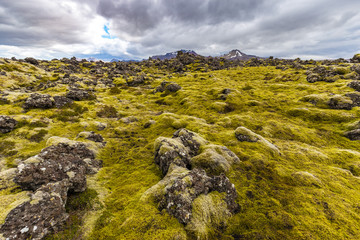 Berserkjahraun lava field in Snaefellsnes peninsula, Iceland