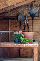 Garden shed with tools