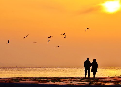 Old couple walking near the sea at sunset. The Sun between clouds and seagulls flying on the sea, silhouette. 