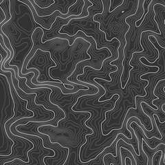 Fototapeta premium Topographic map background with space for copy . Line topography map contour background , geographic grid abstract vector illustration . Mountain hiking trail over terrain .