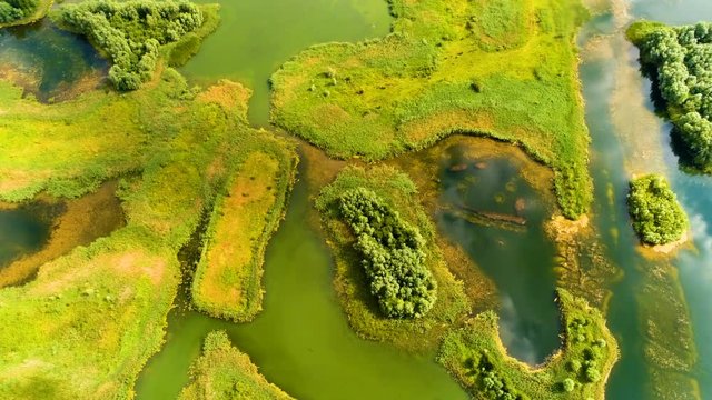Swampy Lake Aerial View