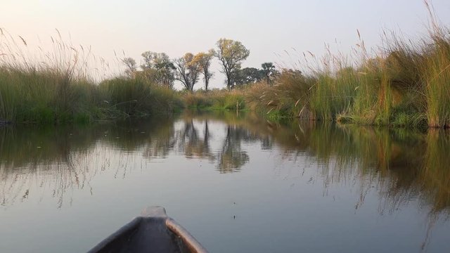 Cruising through the Okavango Delta in a Mokoro (4K footage)