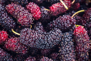 fresh mulberry closeup background