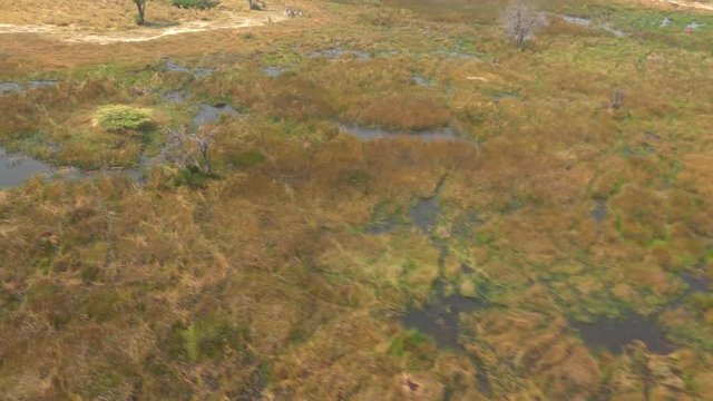 Helicopter Safari in the Okavango Delta (Botswana; 4k footage)