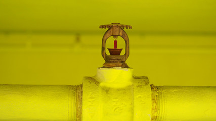 Yellow Fire Sprinklers