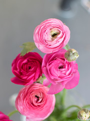 Pink Flower Ranunculus Bouquet Simple